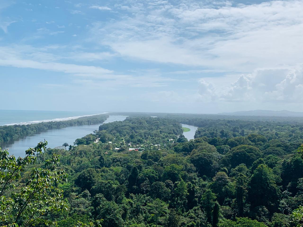 Caribbean coast Tortuguero Costa Rica