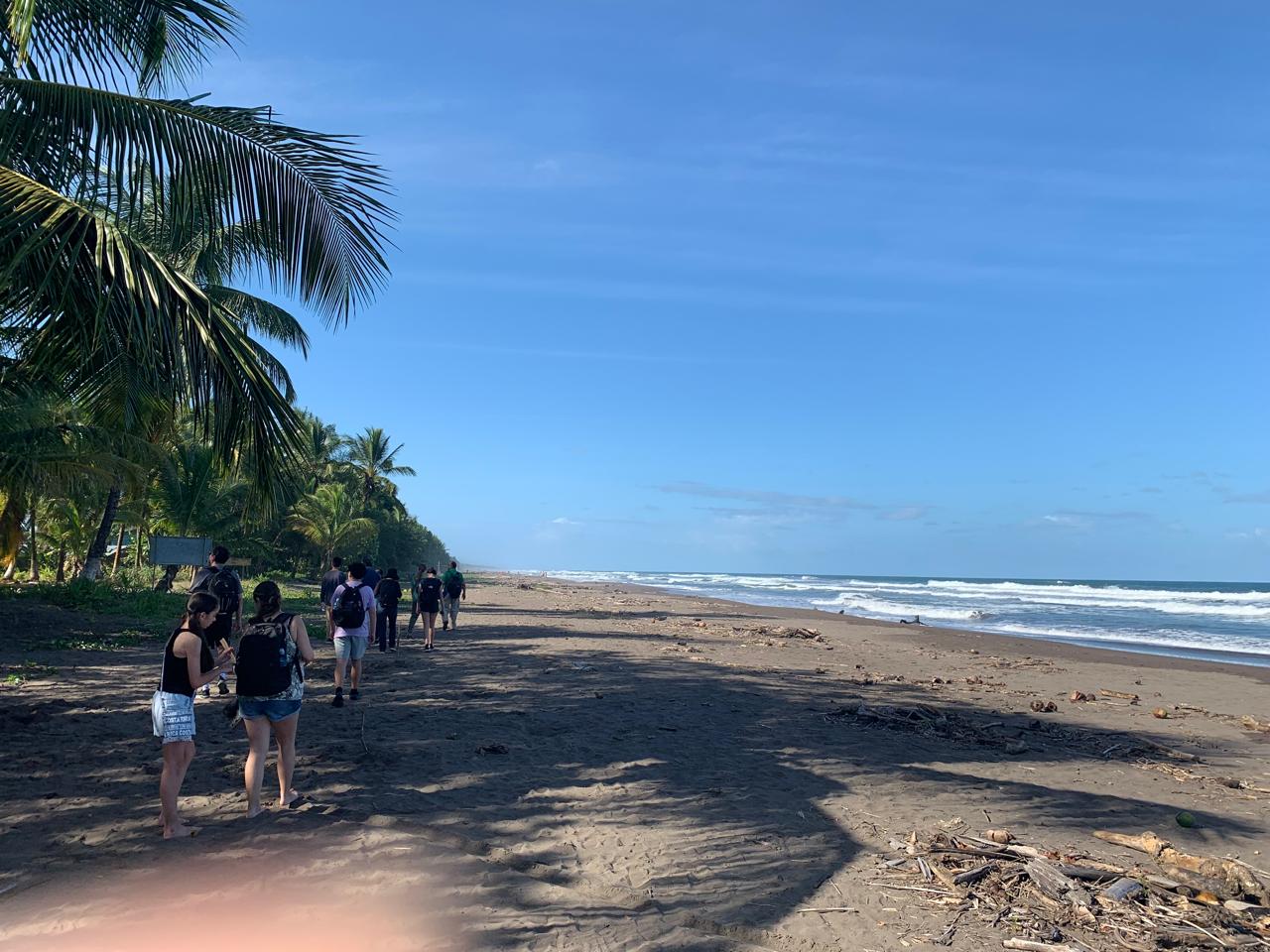 Tortuguero Caribbean coastline