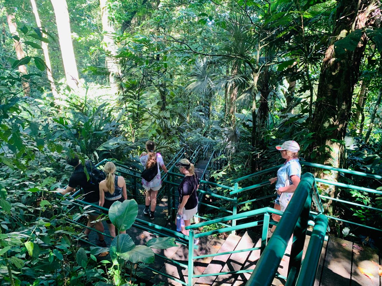 Fascinating Facts About Tortuguero