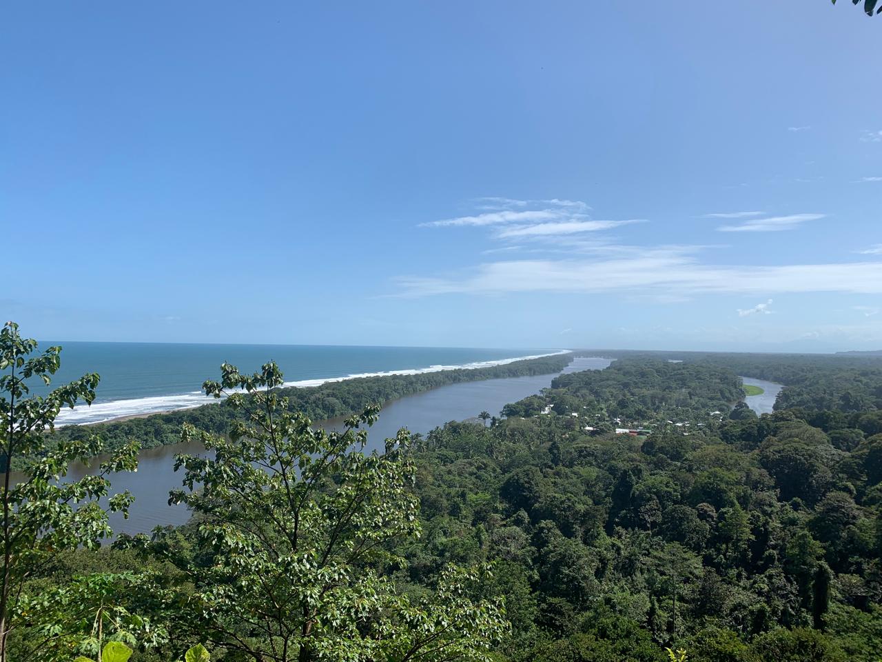 Tortuguero Biodiversity
