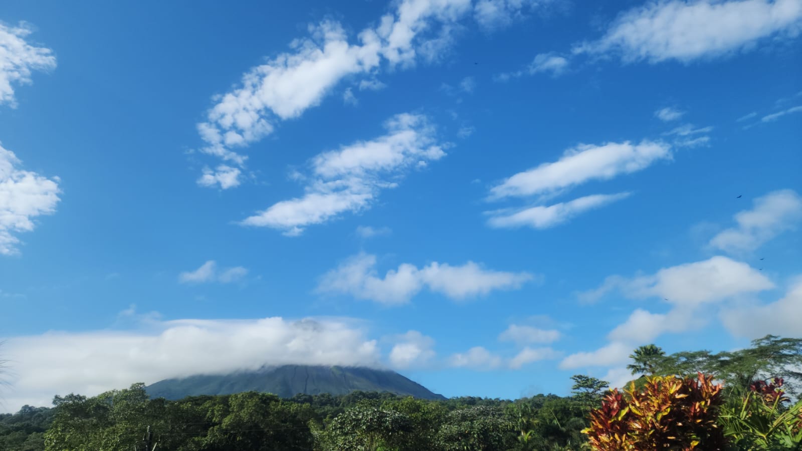 Tortuguero gallery 7