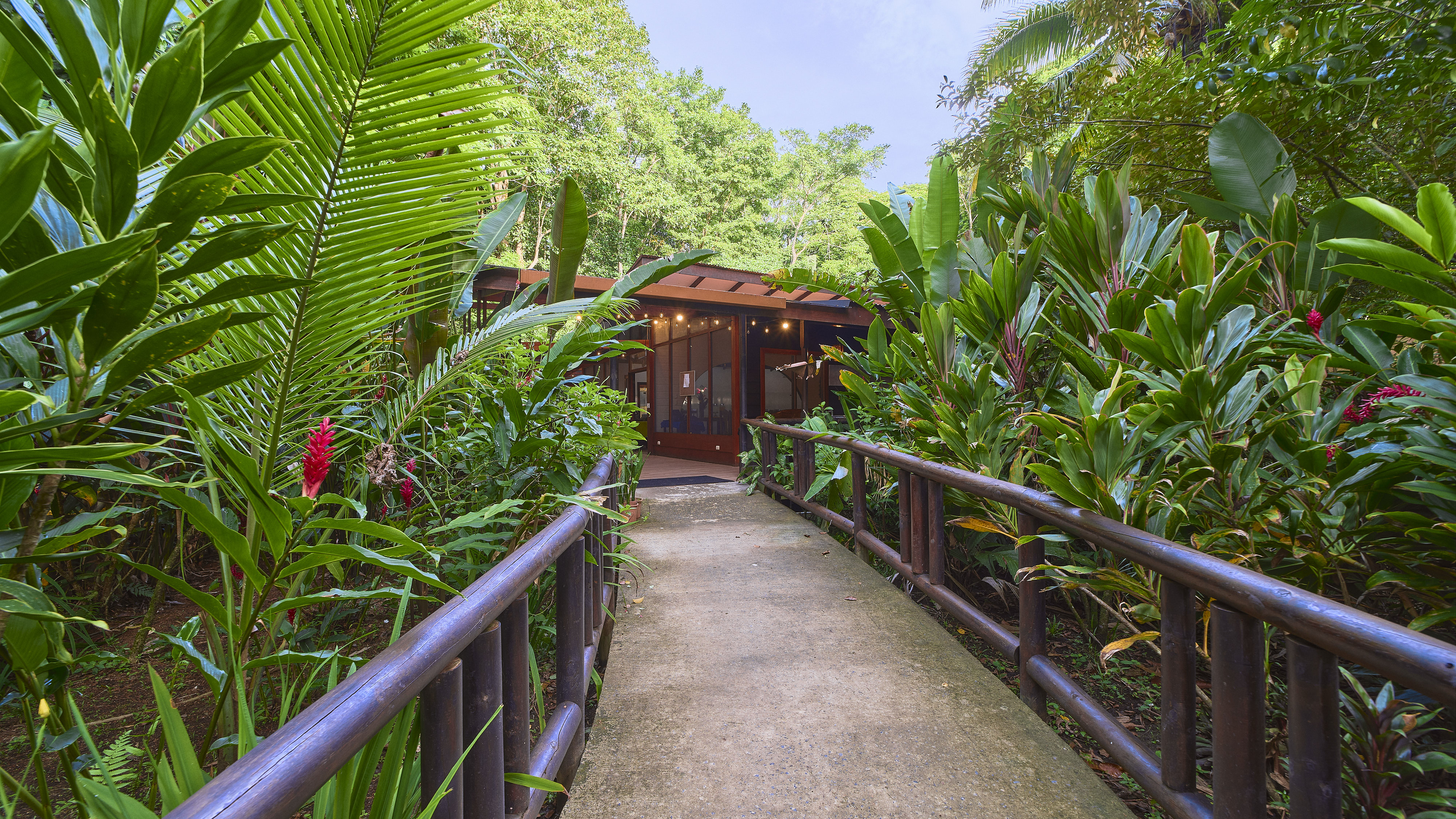 Hotel Evergreen Lodge photo 20