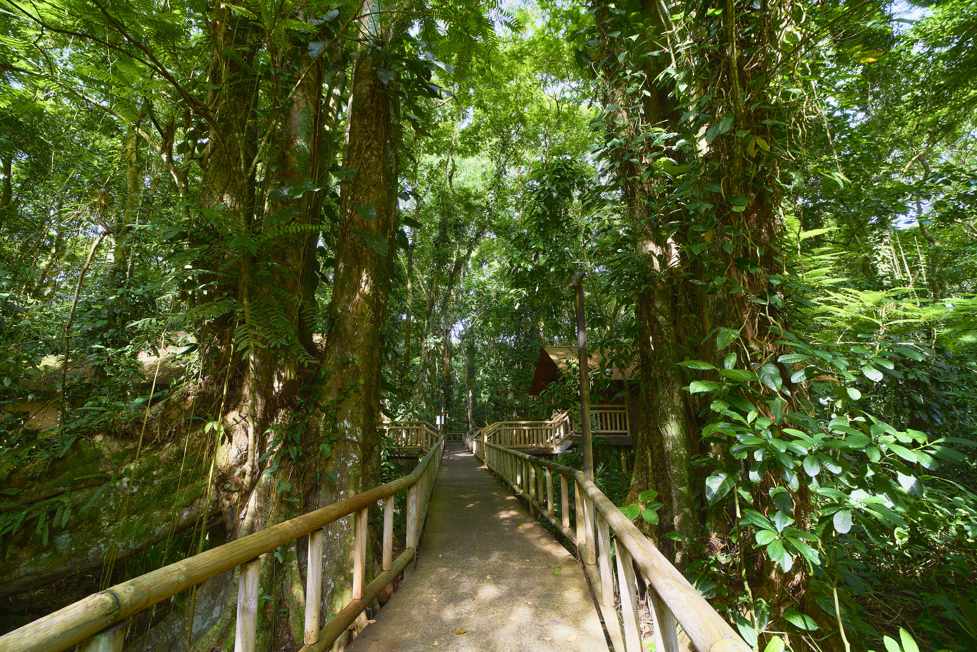 Hotel Evergreen Lodge photo 26