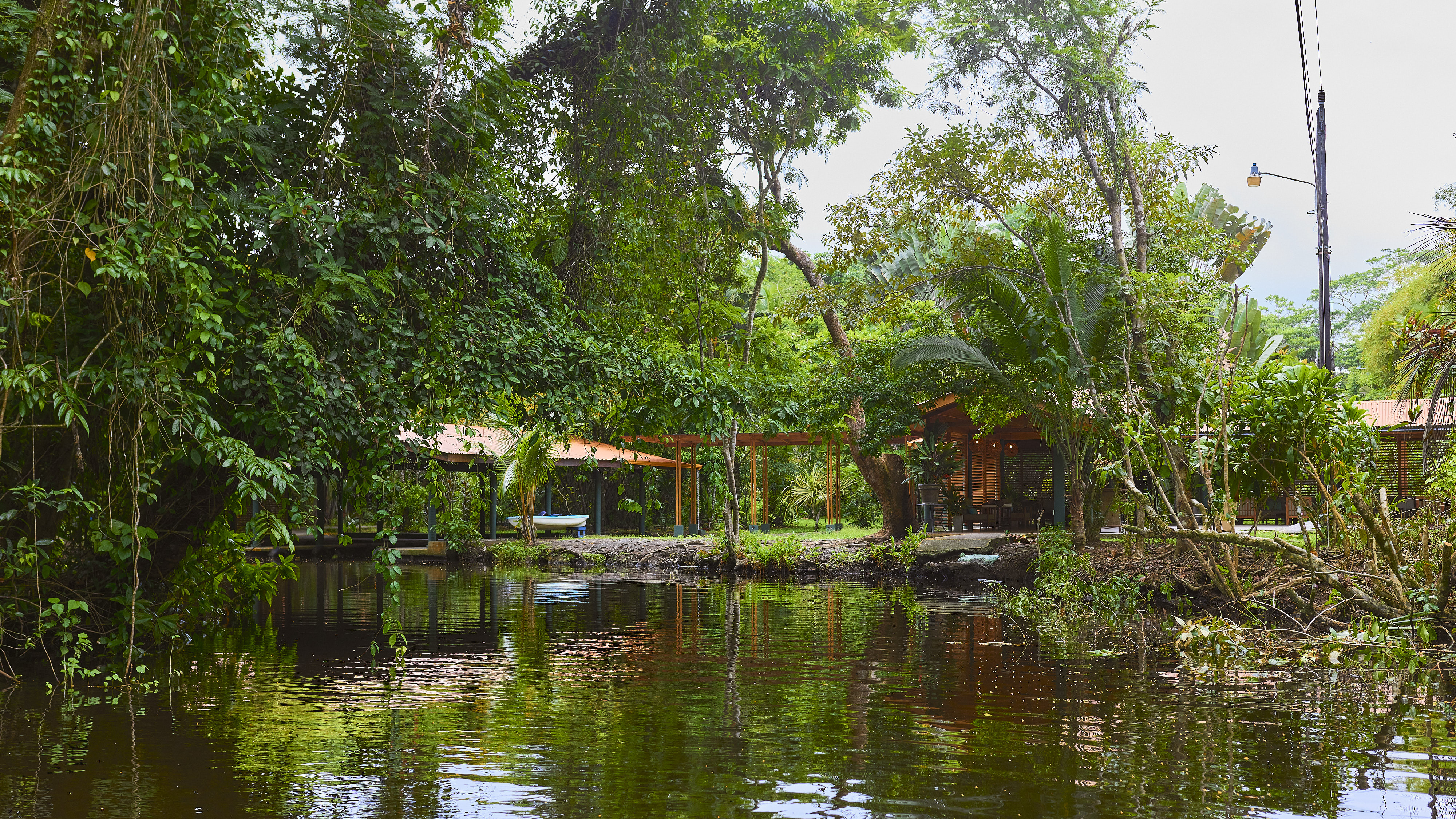 Hotel Evergreen Lodge photo 33