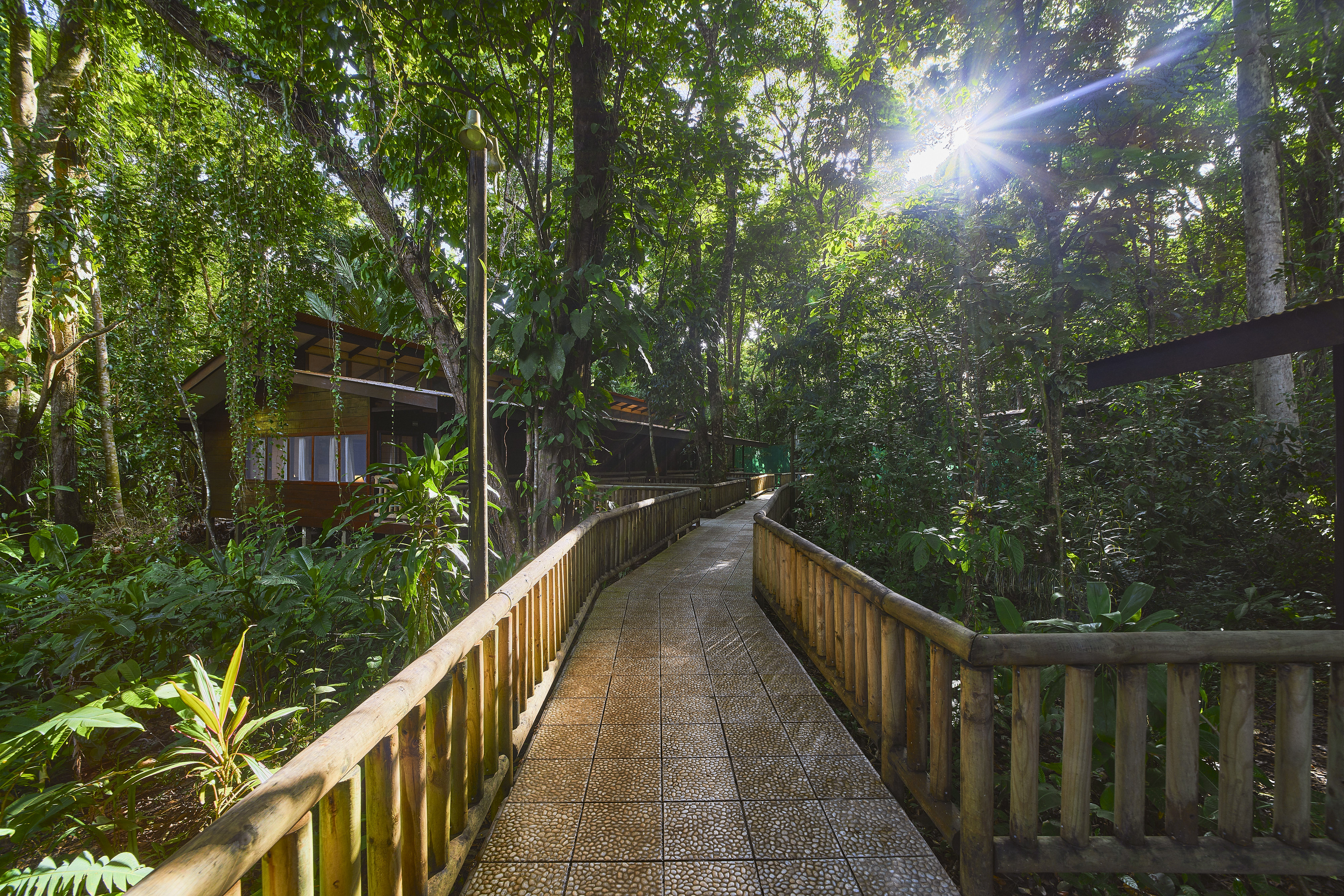 Hotel Evergreen Lodge photo 41