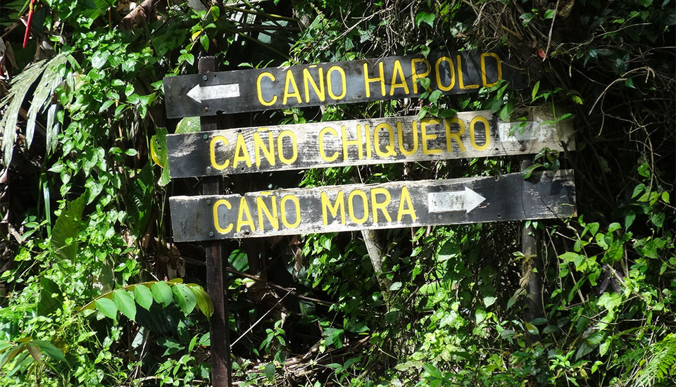 Laguna Lodge main gallery image