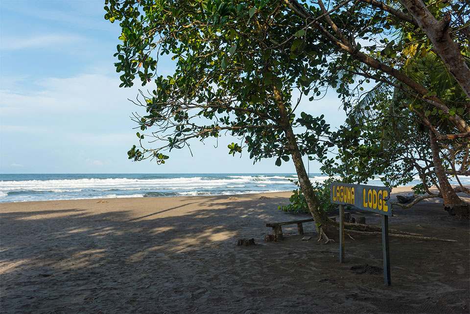 Laguna Lodge photo 14