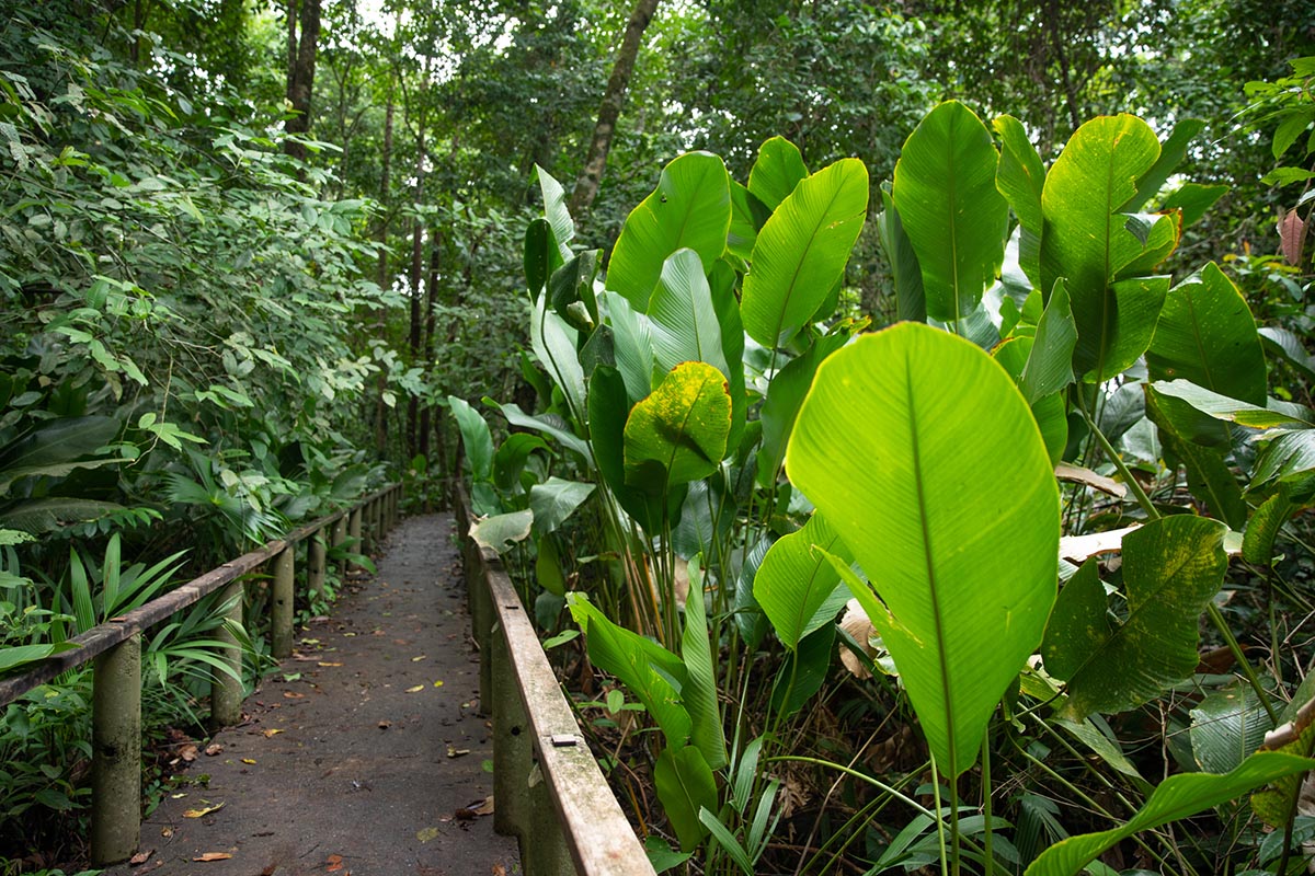 Hotel Pachira Lodge photo 19
