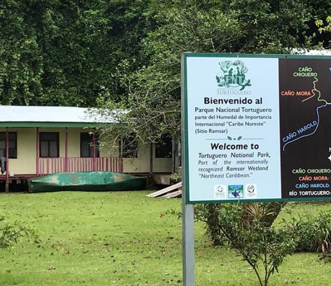 Tortuguero one-day experience photo 10