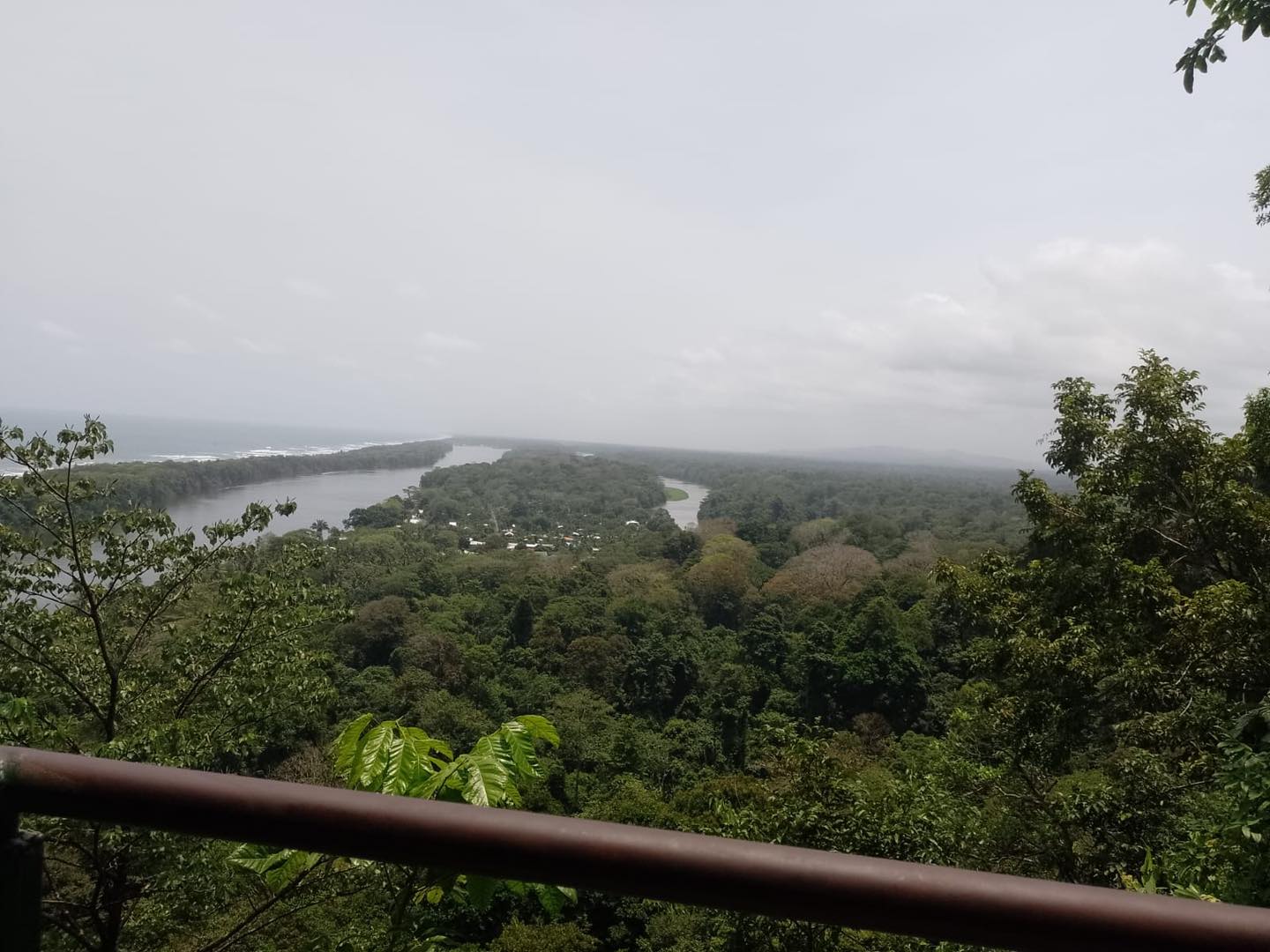 Tortuguero one-day experience photo 17