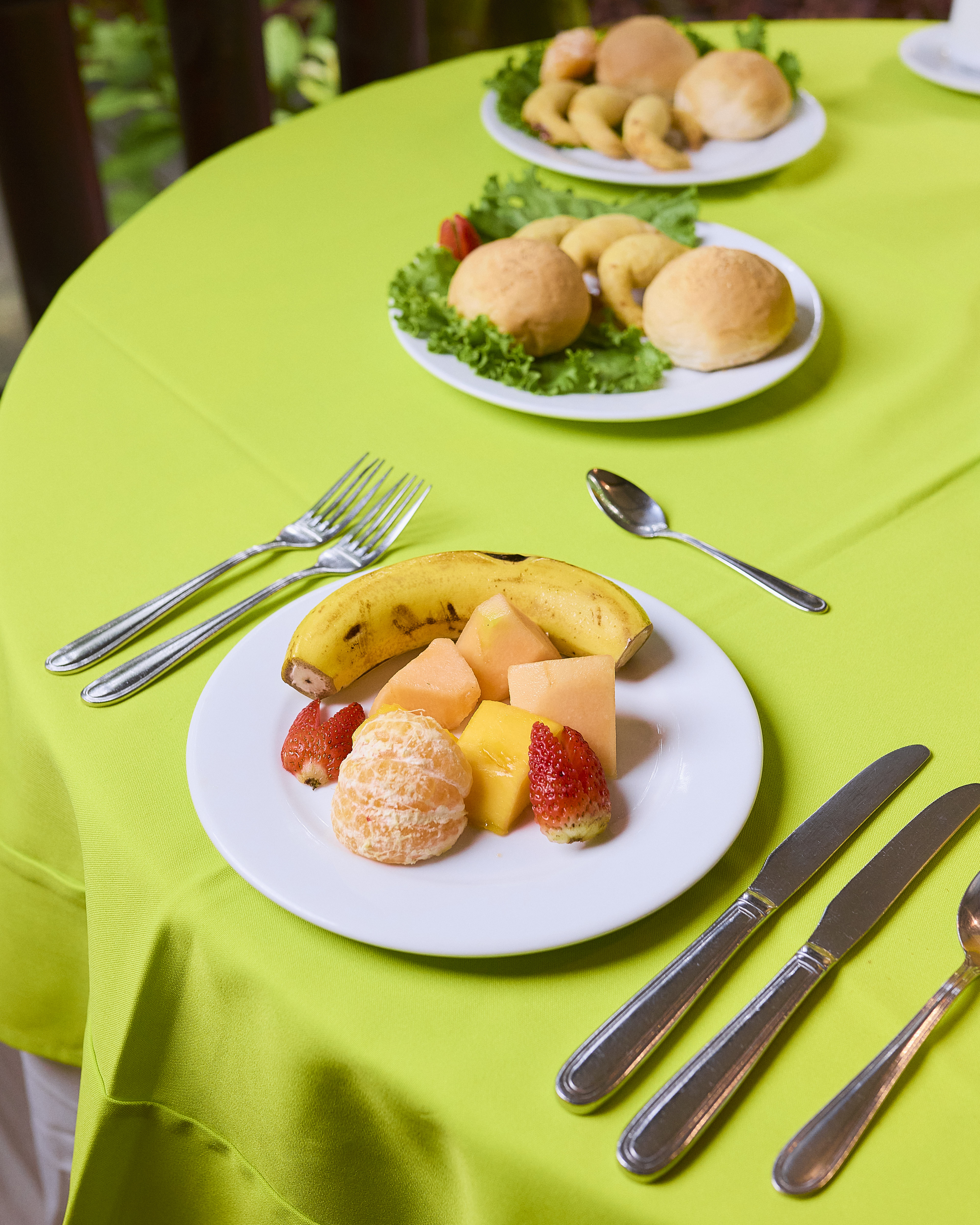 Tortuguero one-day experience photo 22