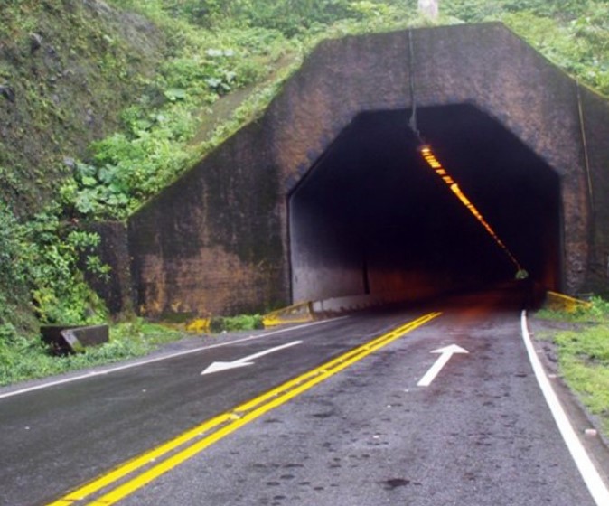 Tortuguero one-day experience photo 3