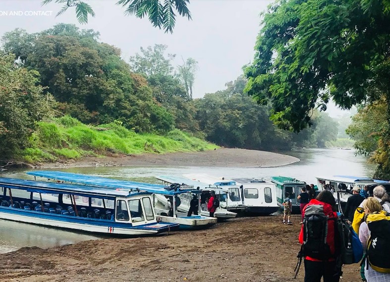 Tortuguero one-day experience photo 6