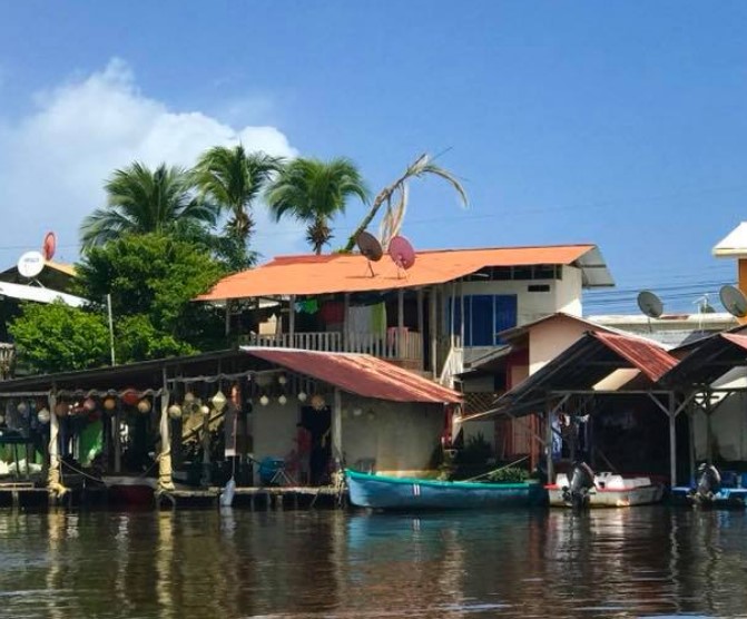 Tortuguero one-day experience photo 8