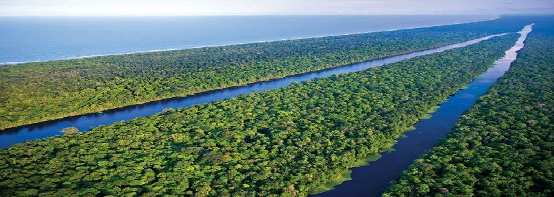 One Day Tortuguero adventure