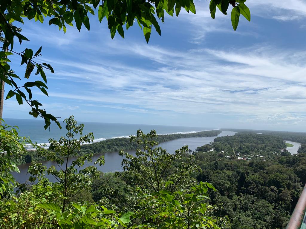 Three day Tortuguero gallery photo 1