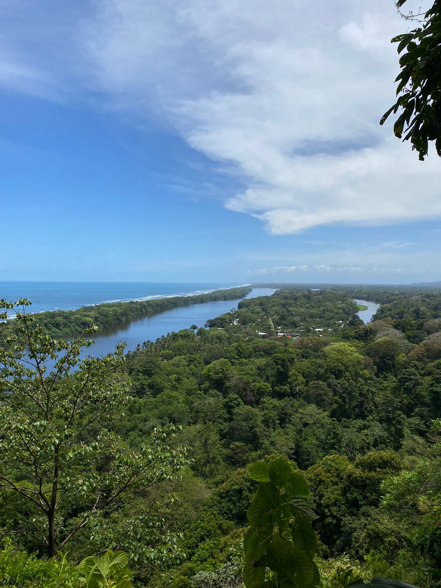 Three day Tortuguero gallery photo 2