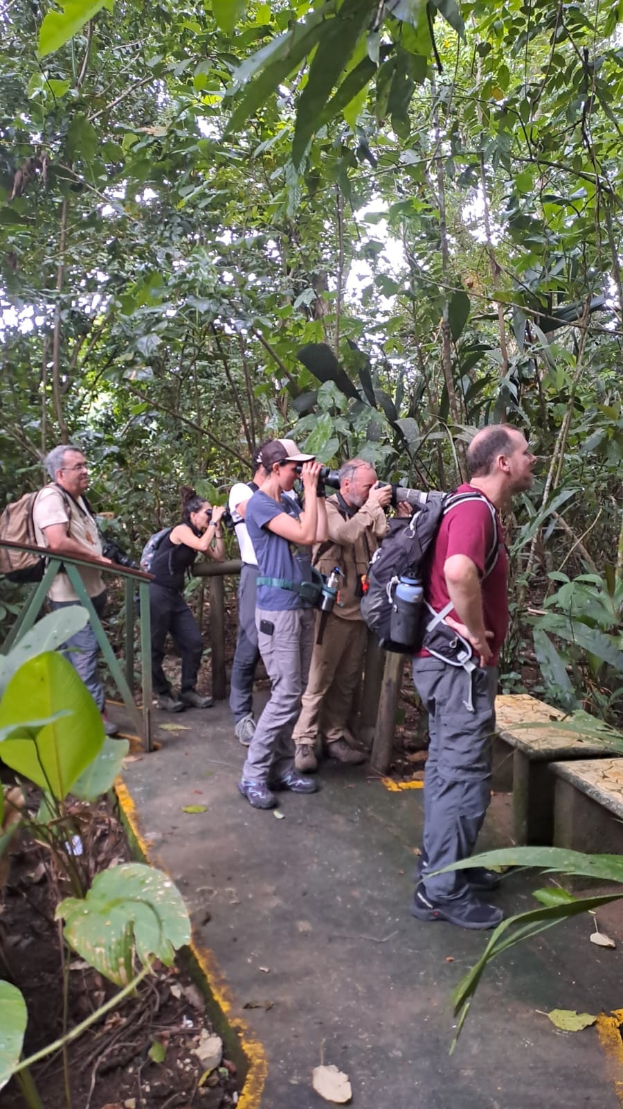 Three day Tortuguero gallery photo 14
