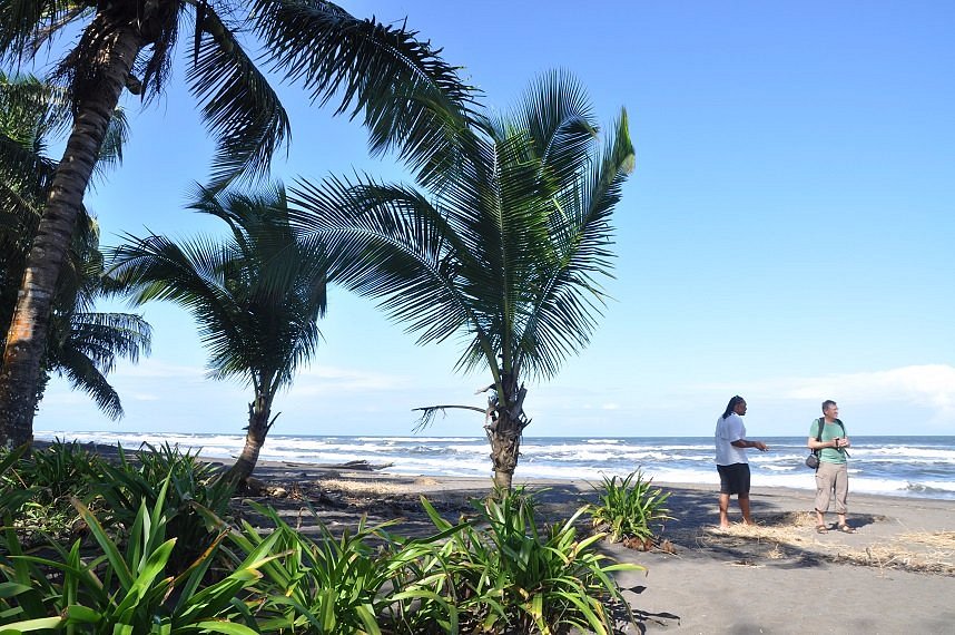 Three day Tortuguero gallery photo 18