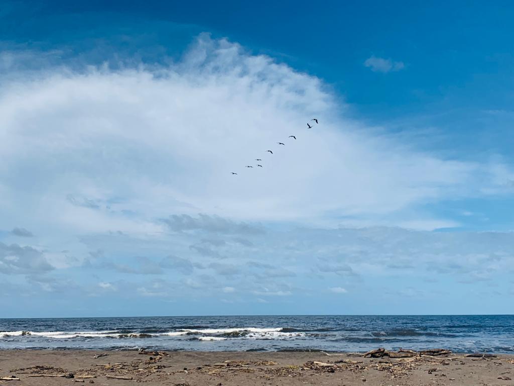 Three day Tortuguero gallery photo 19