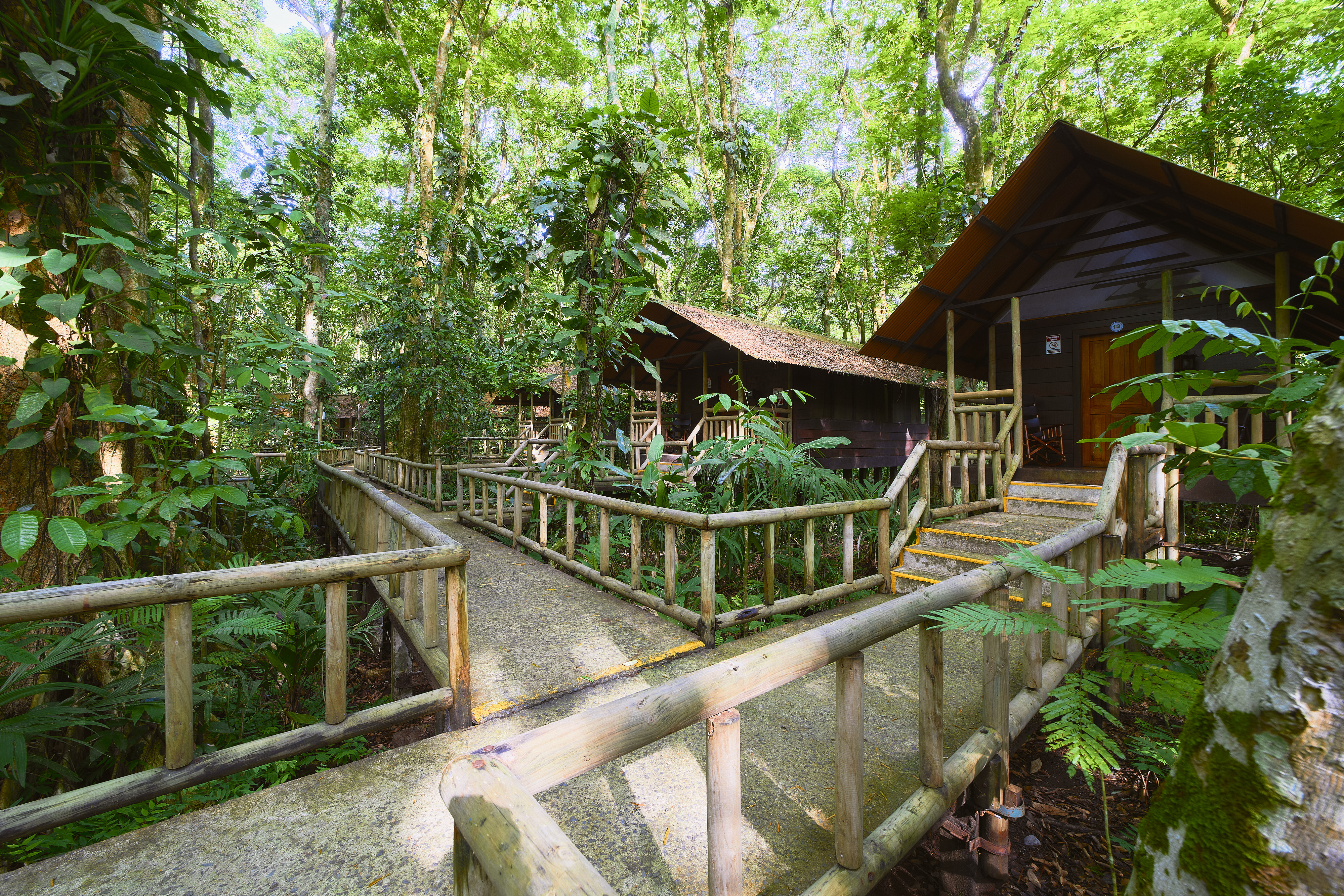 Three day Tortuguero gallery photo 29