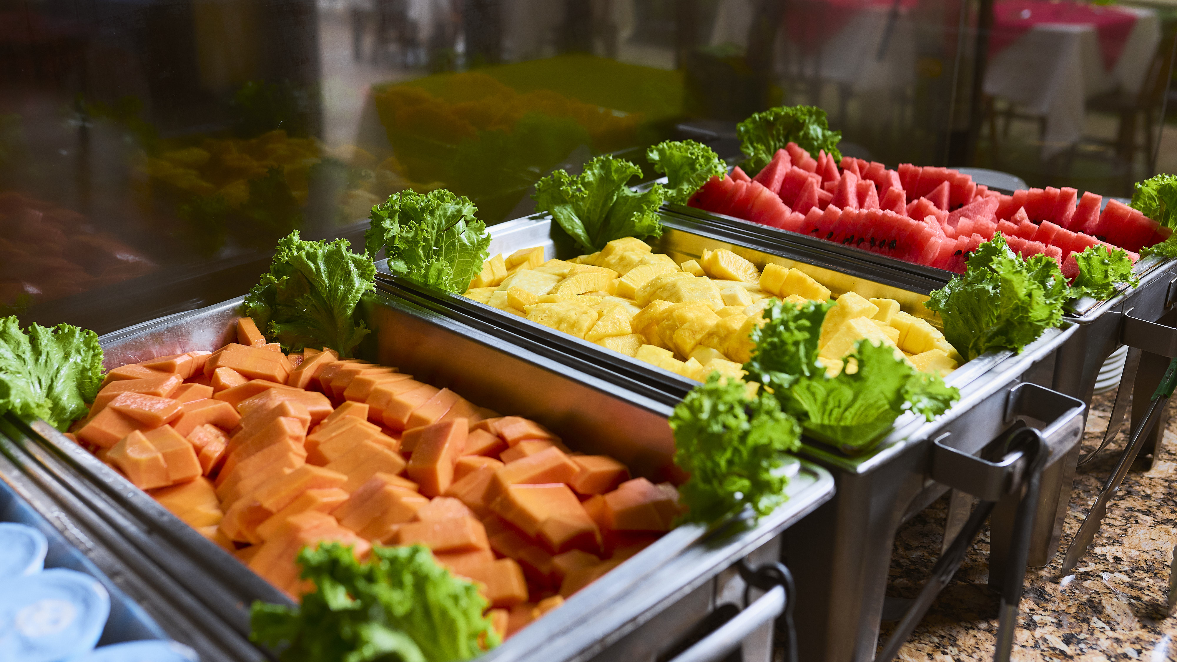 Two day Tortuguero gallery photo 10