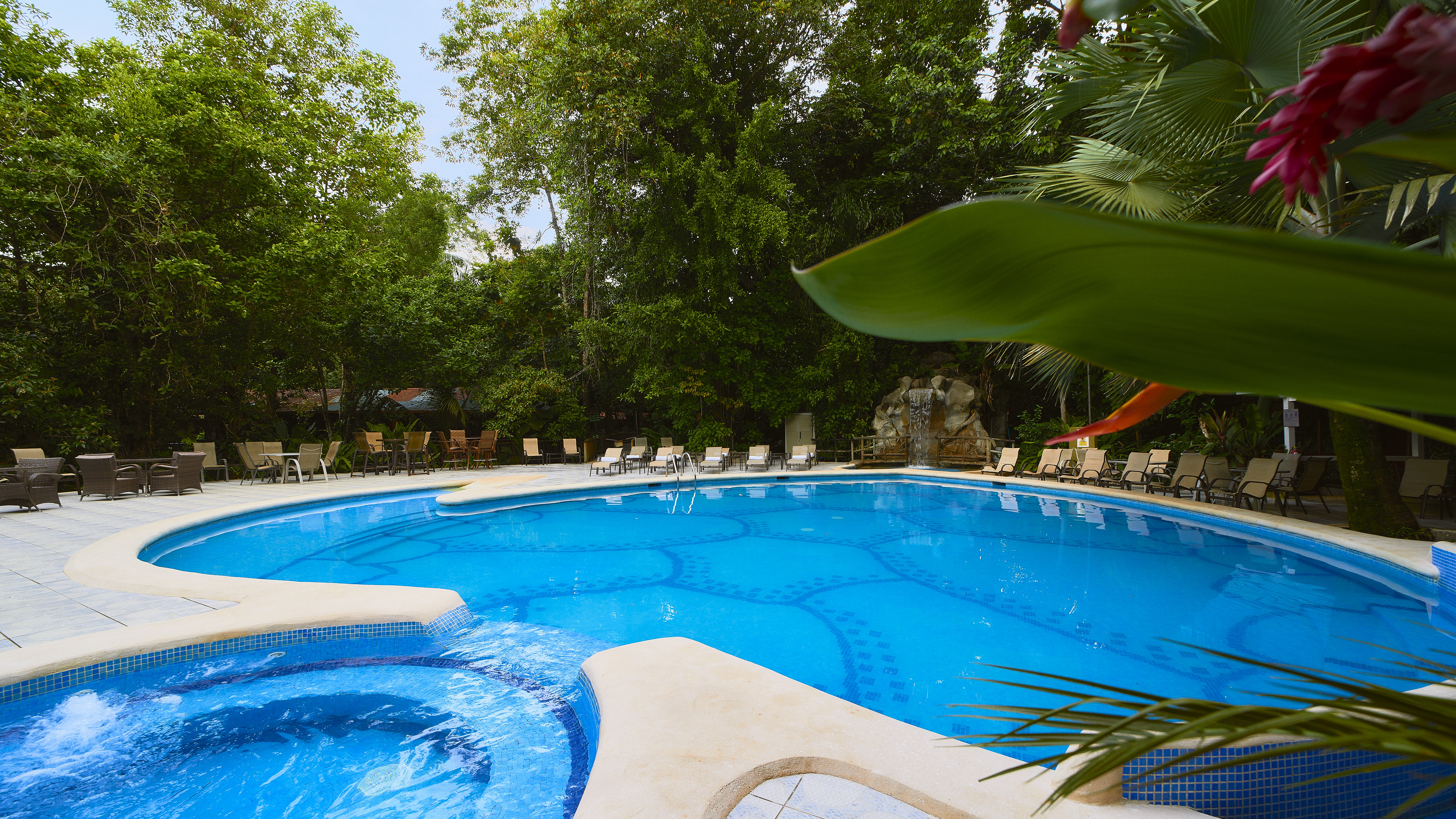 Two day Tortuguero gallery photo 11