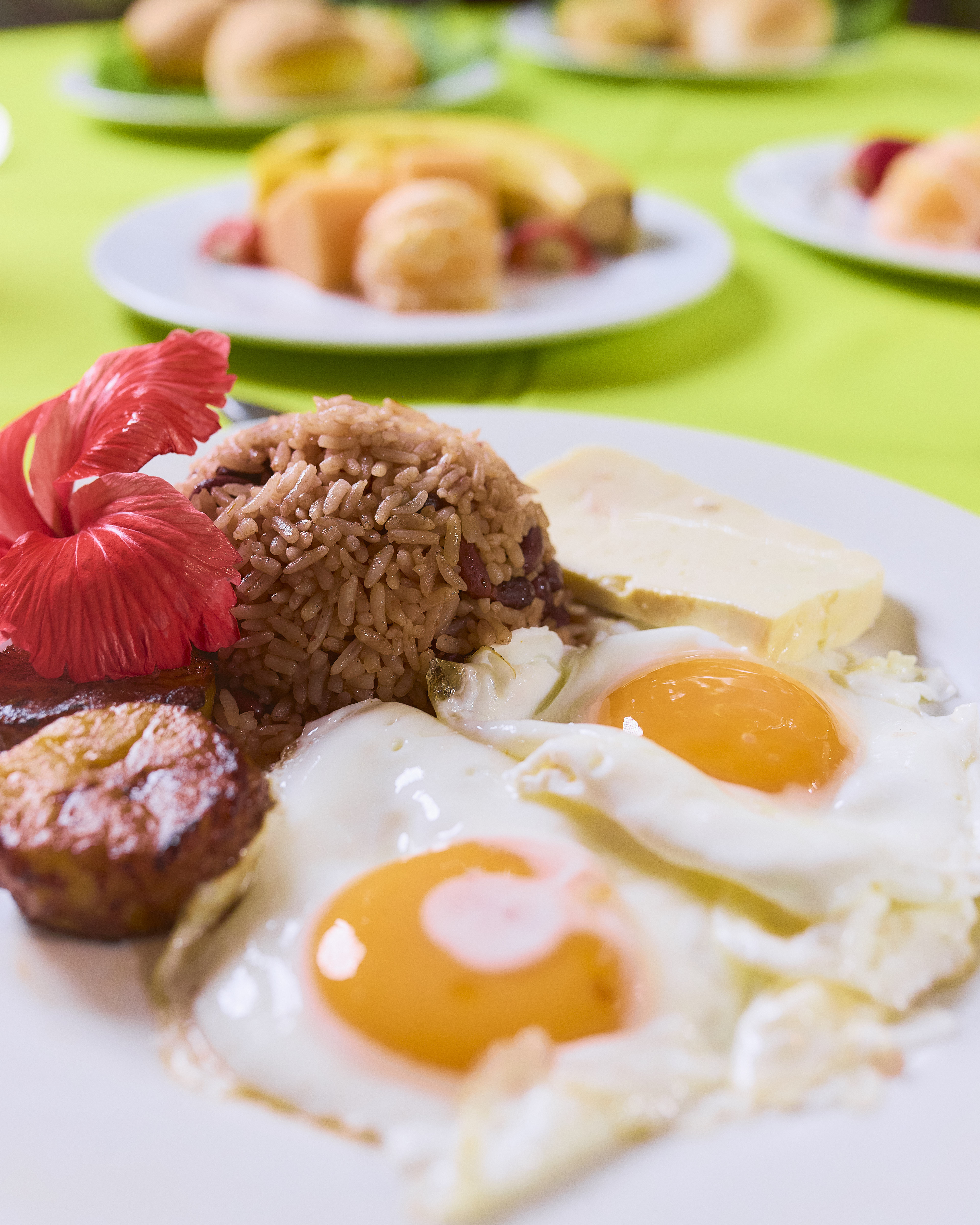 Two day Tortuguero gallery photo 12