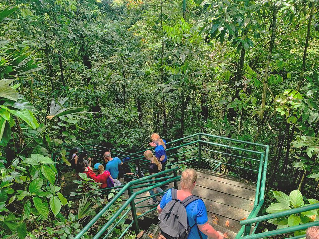 Two day Tortuguero gallery photo 23