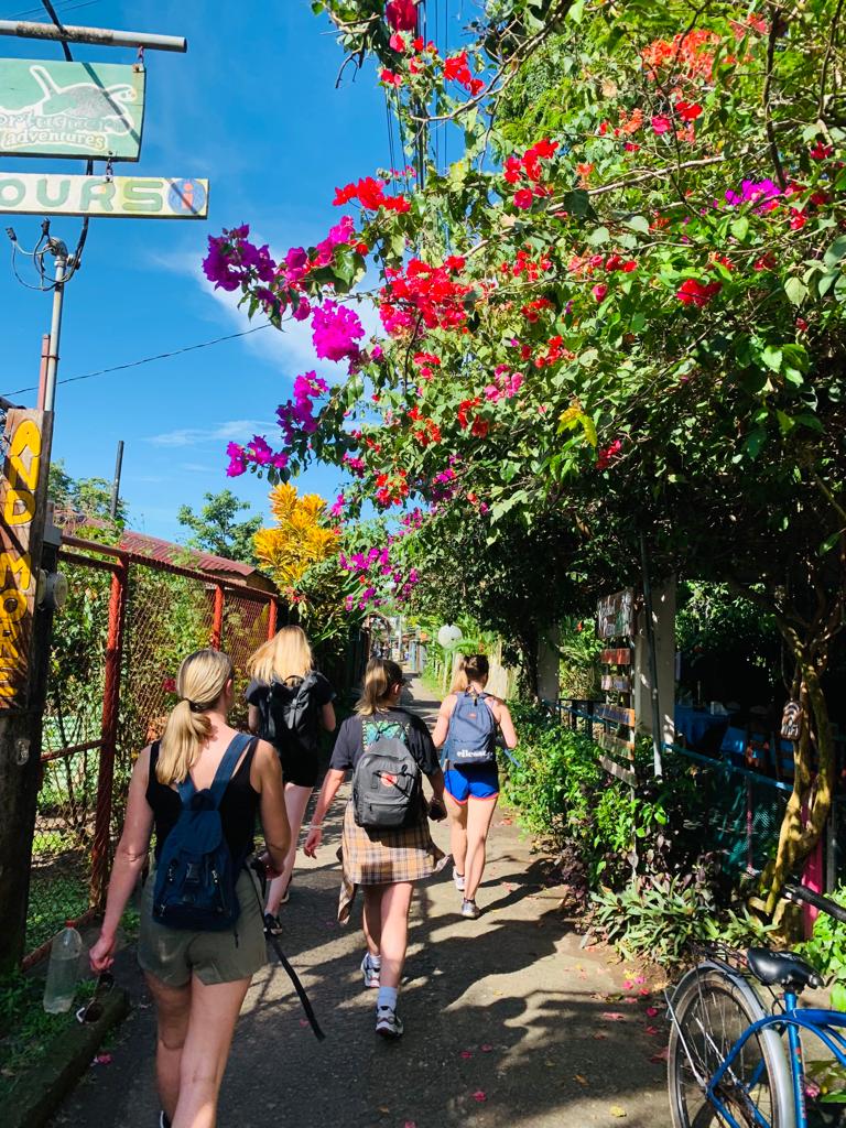 Two day Tortuguero gallery photo 4