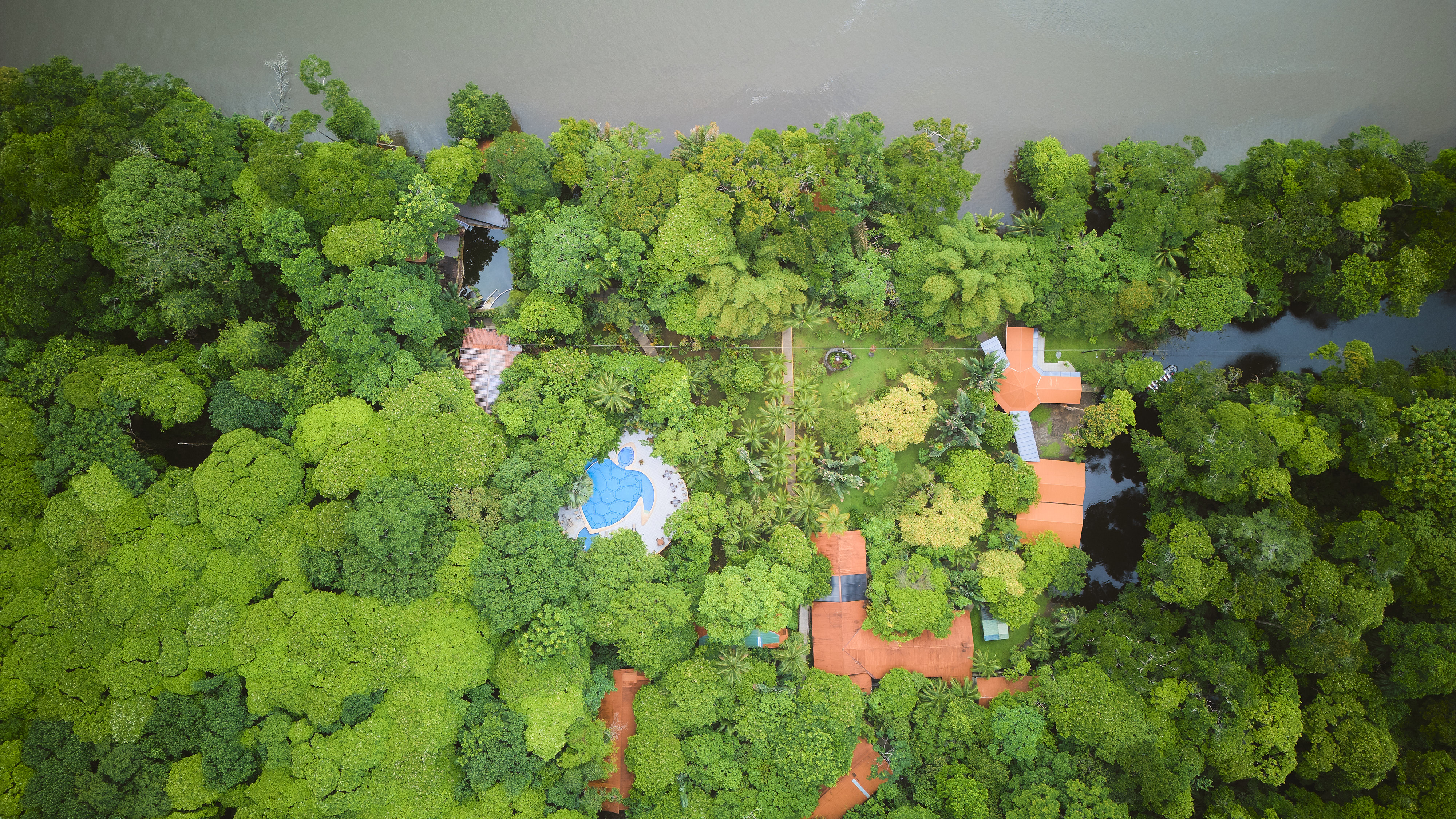 Two day Tortuguero experience