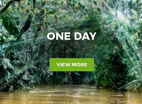 Tortuguero National Park, tours and hotels by Jungle Tom Safaris Costa Rica