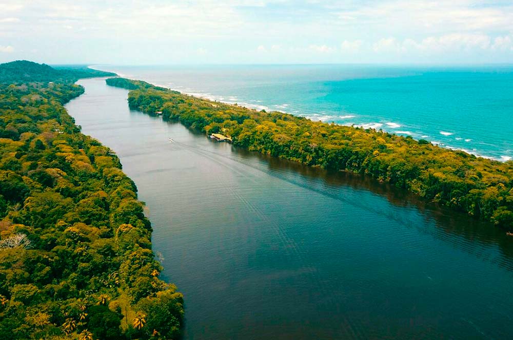 tortuguero